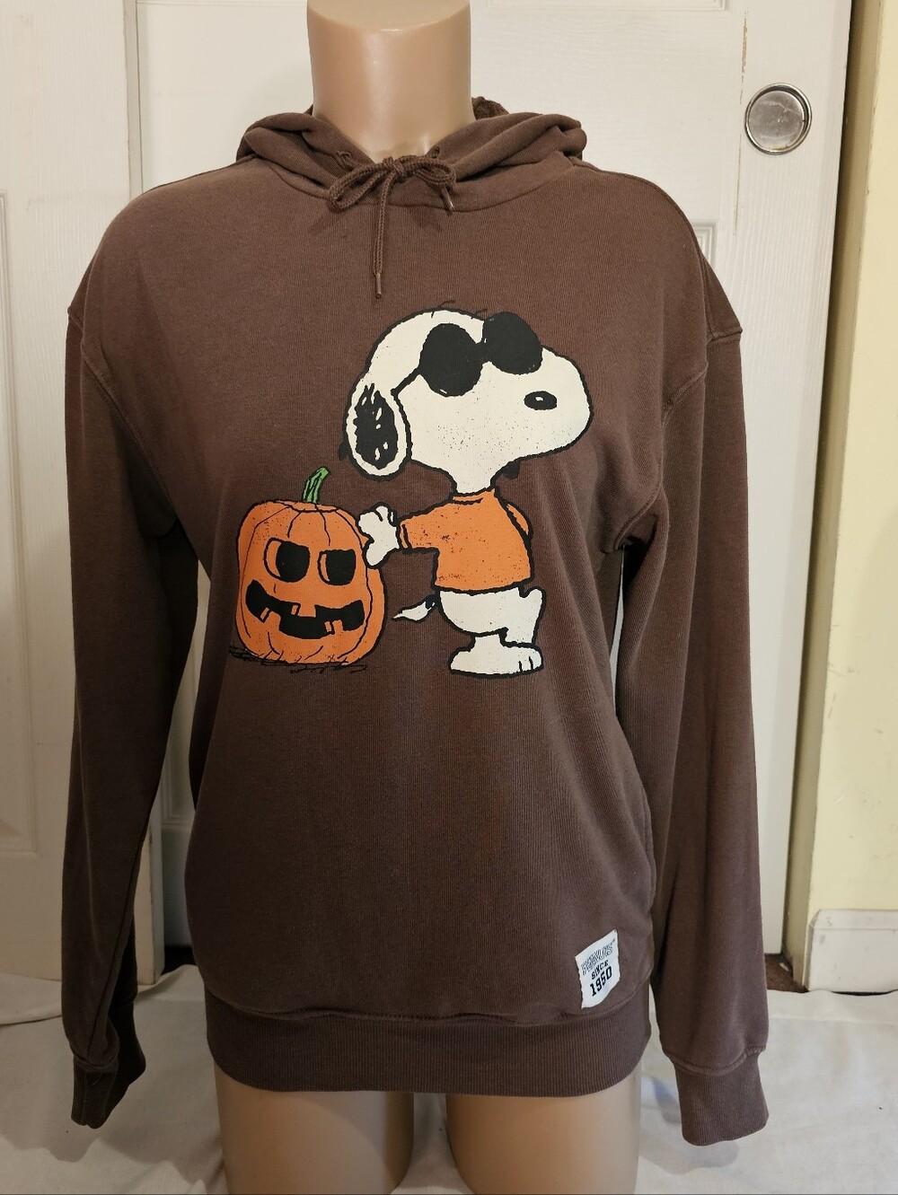 Peanuts Snoopy Pumpkin Brown Hoodie Sweatshirt XXS Halloween Fall Graphic - Picture 3 of 11